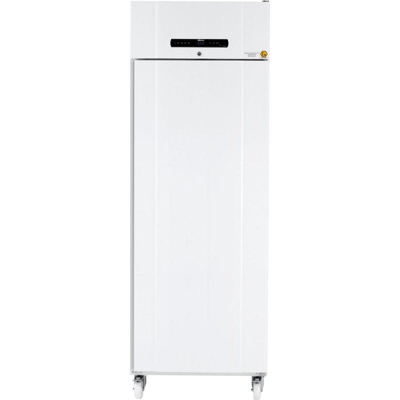 Réfrigérateur BioCompact II RR610LG