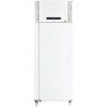 Congélateur BioPlus RF930